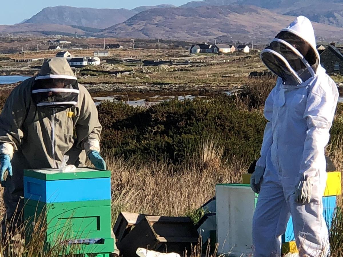 Connemara Sands Hotel & Spa Clifden Ngoại thất bức ảnh