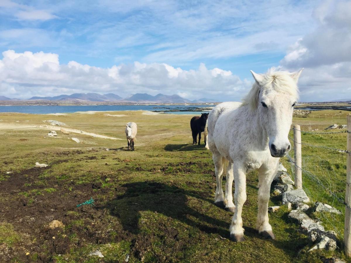 Connemara Sands Hotel & Spa Clifden Ngoại thất bức ảnh